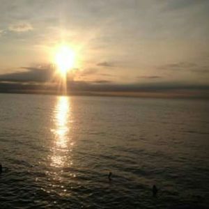 Meet your Posher, Thedevine